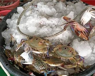 為過年加菜 台南近9旬翁買紅蟳迷路！警調監視器及時尋回