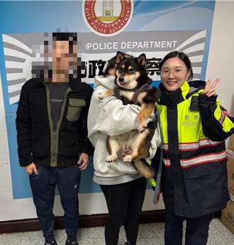 走失萌柴「熊熊」北投大街遊蕩 暖心警助牠返家