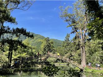 當心荷包！溪頭有測速桿王 埔里有最會搶錢路口