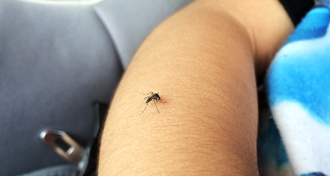 全國首例屈公病入境高雄 印尼籍船員抵小港機場遭攔截