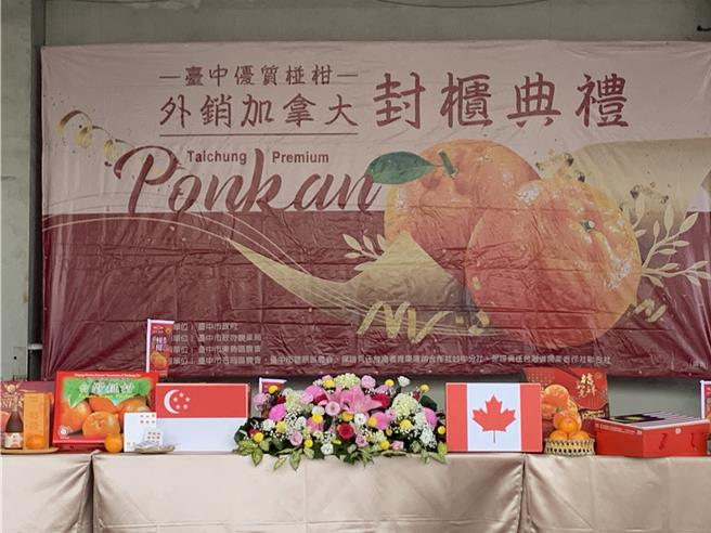 台中市柑橘类产量全国属一属二，市府积极拓展外销市场，疫后椪柑首度打入北美白人市场，今年外销量达82公吨创新高。（台中市府农业局提供／陈淑娥台中传真）