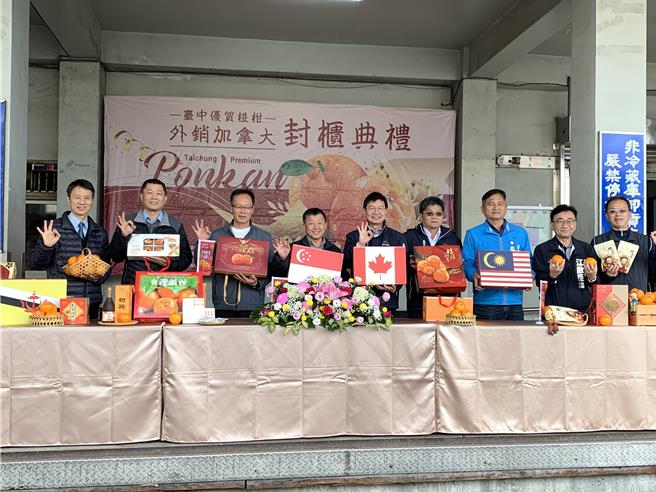 台中市柑橘类产量全国属一属二，市府积极拓展外销市场，疫后椪柑首度打入北美白人市场，今年外销量达82公吨创新高。（台中市府农业局提供／陈淑娥台中传真）