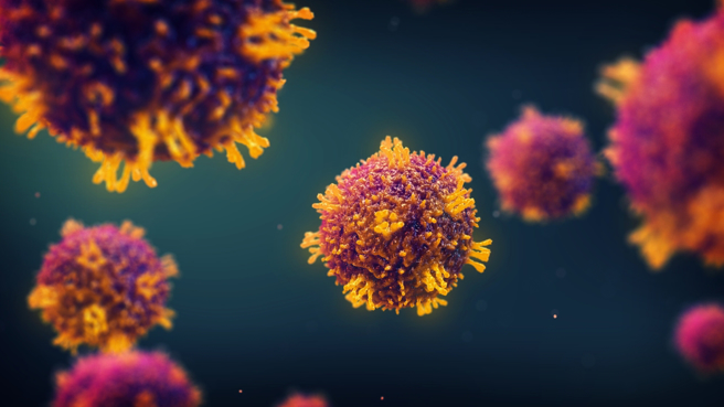 医师张家铭指出，传染力很强的麻疹有1副作用很容易被忽略，也就是「免疫失忆」。（示意图：shutterstock／达志）
