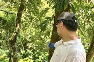 推動原住民保留地禁伐補償 新北獲頒優等