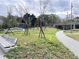 新北新莊運動公園紅火蟻現蹤 啟動熱區防治已施藥完成