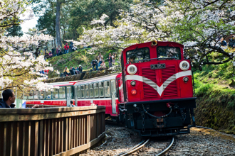 《紐時》曝全球必去52旅遊地 台灣「這美景」金榜題名