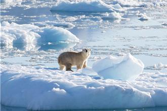 北極快速升溫！永凍土融化恐釋放致命微生物