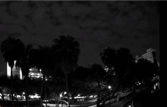 台中公園有浮屍？年輕女子落水 湖面上載浮載沉