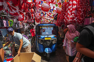 印尼正式成金磚第十國