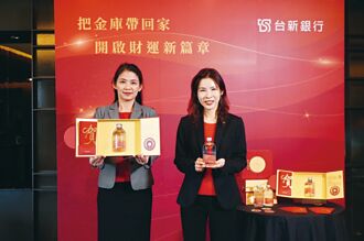 金庫帶回家 台新銀金蛇年禮盒夯