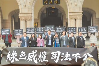 司法节上街头 张丽善将现身力挺