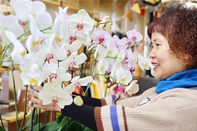 嘉大合作社即日起推出「捐百元送您蝴蝶蘭」助學活動。（嘉大提供／廖素慧嘉市傳真）