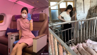 26歲空服員離職 回家養豬拍片 收入比老同事還高