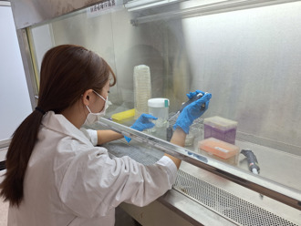 義大醫科系劉千瑀榮獲國科會研究創作獎 展現塑化劑分解創新突破