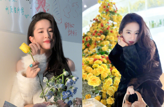 劉亦菲新髮型翻車！遭批「老氣像大媽」 同框安海瑟薇曝驚人對比