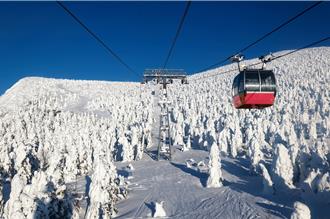 年度旅遊趨勢登場 旅人最愛這個國家