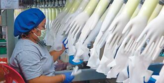 需求回升 南帝全年營運反彈27％