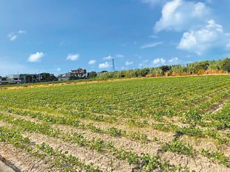 桃園 低耗水作物補助 最高可領4.5萬