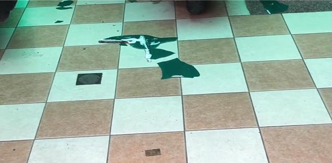 台东市某民宅今天早上惊传有人从屋顶坠落，经由邻居报案。（读者提供／蔡旻妤台东传真）