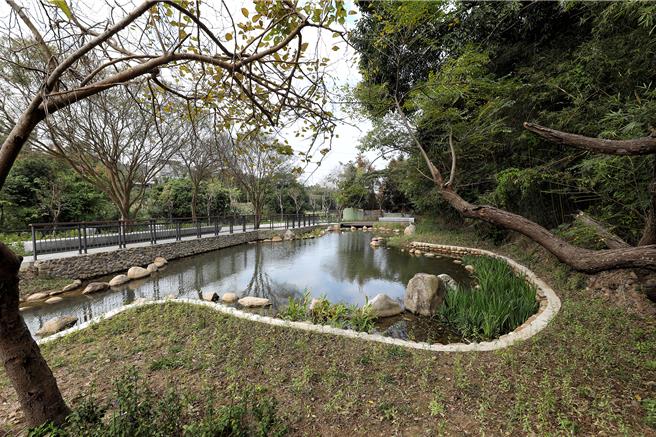 湖口乡「观星夕照：心灵的后花园」第2期打造畚箕窝溪「蓝带」，打造莲花池自然生态观察区。（罗浚滨摄）