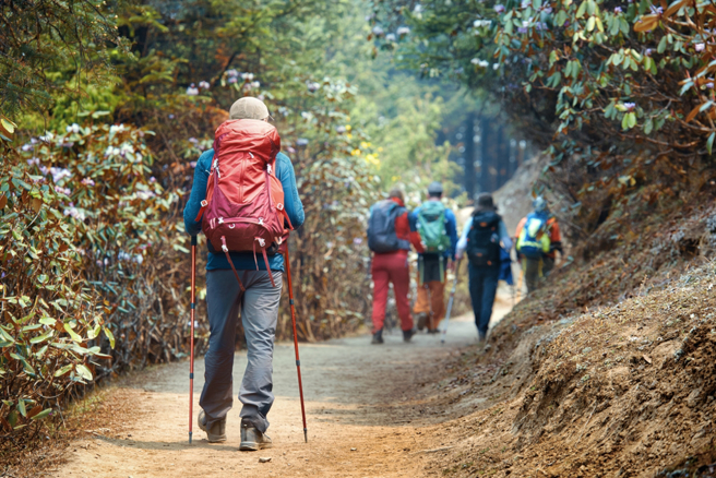 卫星定位成山难搜救利器，苗栗登山客迷路后成功获救。（示意图：shutterstock／达志）