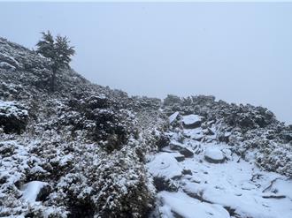 影》嘉明湖夢幻雪景！山區降雪2公分 宛如童話世界