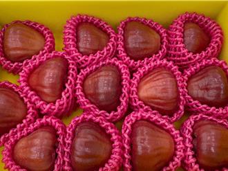 全台蓮霧及棗優質管理果園評鑑 屏東南州與高雄燕巢獲冠