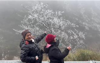 思源啞口霧淞美景再現 遊客驚嘆銀色世界