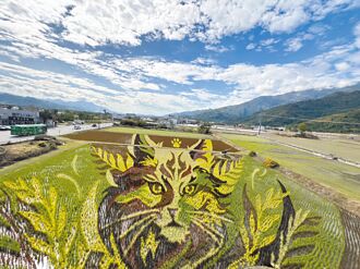 台東 彩繪神喵報稻 關山蘿蔔季展開