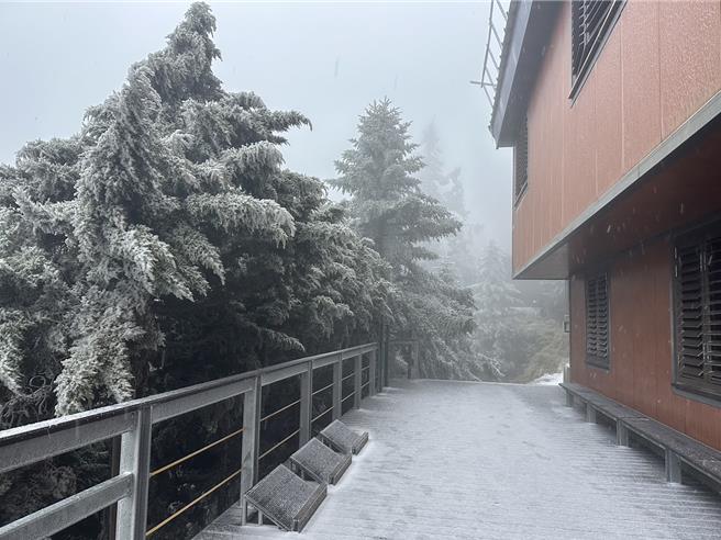 海拔3402公尺的玉山排云山庄飘雪了，玉山地区被白雪覆盖，彷佛撒上糖霜。（玉山国家公园提供／杨静茹南投传真）