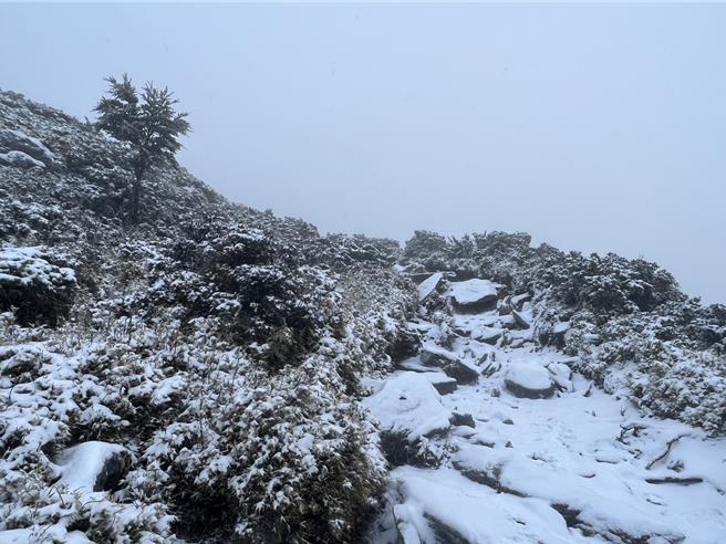 嘉明湖國家步道過9公里處山區降雪畫面。（林業及自然保育署台東分署提供／蔡旻妤台東傳真）