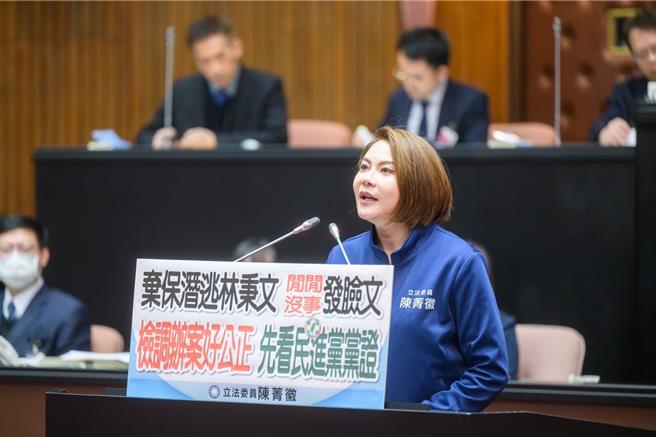 国民党立委陈菁徽。（陈菁徽办公室提供／陈薏云台北传真）