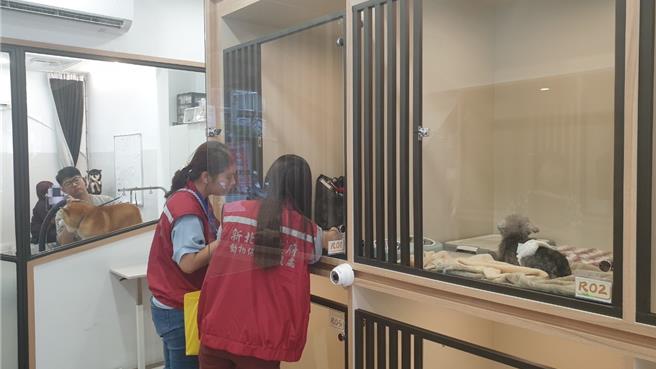 随着台湾社会少子化趋势，犬猫宠物饲养已成为一大关注议题，为进一步保障饲养犬猫的居住权益及动物福利，新北保处携手新北市宠物商业同业公会，推动全国首创「新北市特定宠物业业者自我环境管理提升计画」。（新北动保处提供）