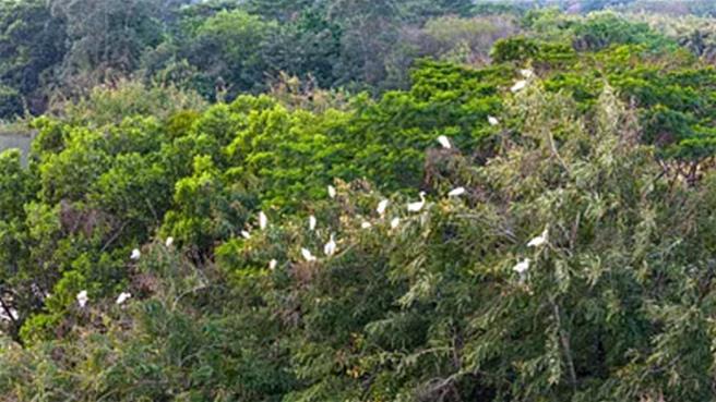 1万6400个样地建成陆生态品质监测网县县全覆盖。（大陆央视）