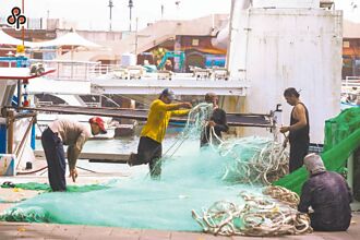 移工船員可幫卸貨 賣魚最重罰15萬