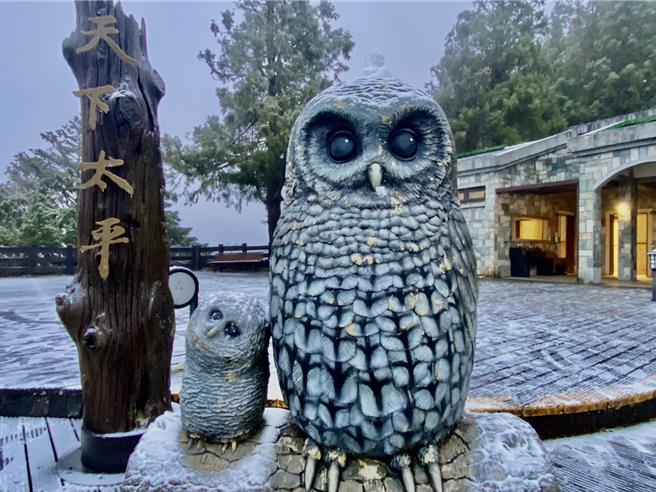 太平山今天下起冰霰，让山区宛如成为一片银白世界。（太平山庄提供）