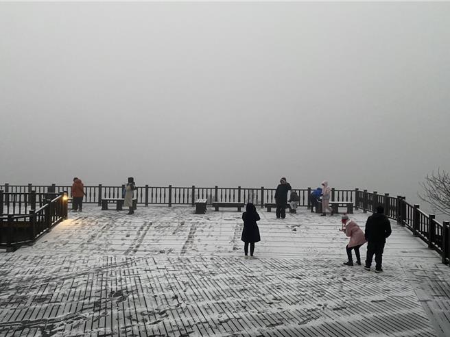 太平山今天下起冰霰，让山区宛如成为一片银白世界。（太平山庄提供）