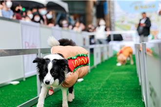 高雄夢時代變身毛孩天堂！「汪汪嘉年華」熱鬧登場