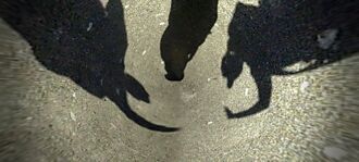 工商社論》高層人事異動反映了什麼問題