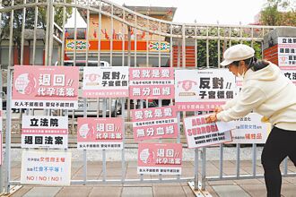 婦團挺脫鉤 代孕將重開公聽會