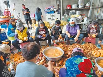 新故鄉願景》蕃薯嘉年華吸客 在地好滋味