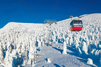 體驗至上 健康旅遊夯