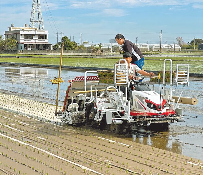 台灣每年廢棄農業塑膠約1.3萬公噸，近年來推行使用紙膜取代傳統PE材質製成的農膜，盼降低環境汙染問題。（廖姮玥攝）
