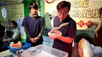 蛇年不恐慌！新北蛇類特展教你當個稱職的「蛇爸蛇媽」