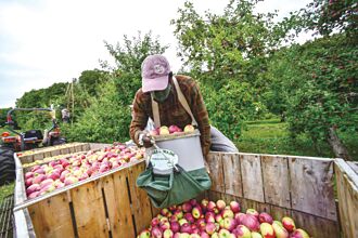驅逐移民 農場驚恐
