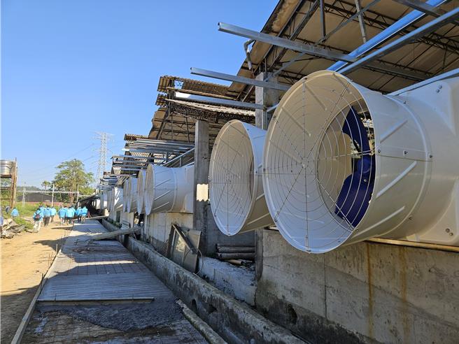 清波畜牧場正進行廠房改善中。（羅琦文攝）