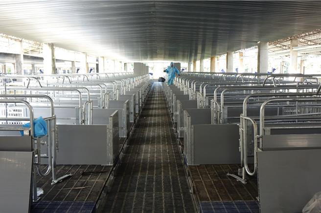 清波畜牧場正進行廠房改善中。（羅琦文攝）