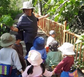 偏鄉幼教暖心升級！14間部落教保中心提升原民教育新未來