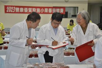 安全、美味的小番茄在哪里？彰投云嘉南95果农角逐