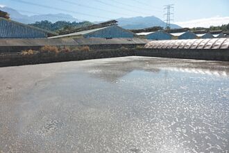 屏東 畜牧場飄惡臭 環境部要求改善